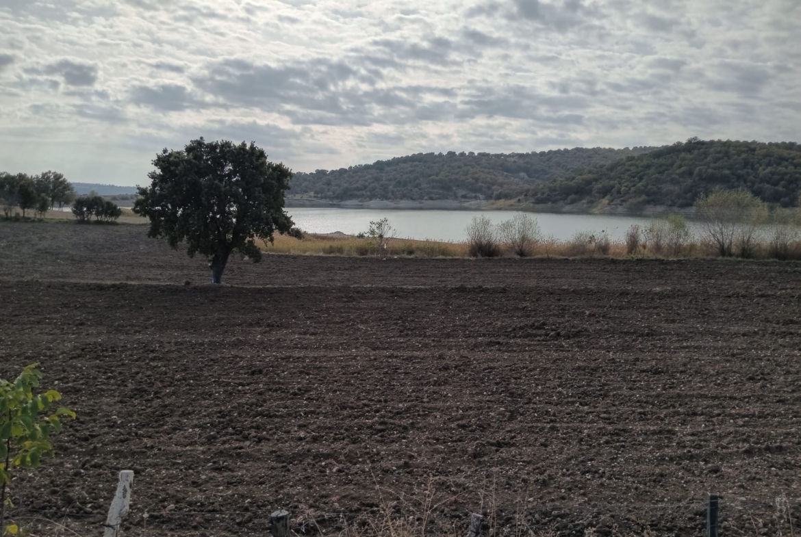 Ucuz Satılık Arsa Sakarya (Tarla)